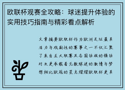 欧联杯观赛全攻略：球迷提升体验的实用技巧指南与精彩看点解析